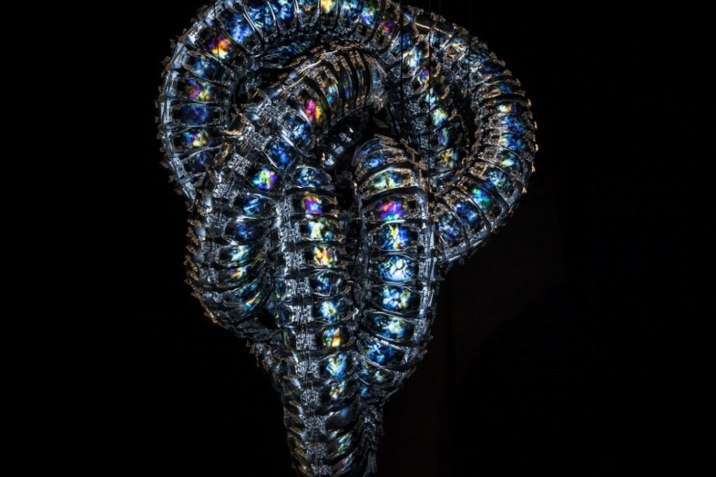 #BOTBAY5: New Bodies